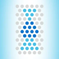 MATTERS Network